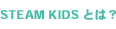 STEAM KIDS とは？